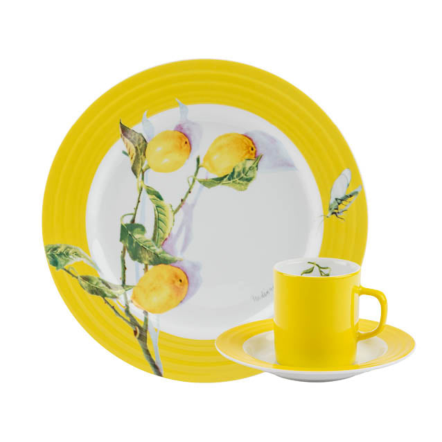 Citron servise