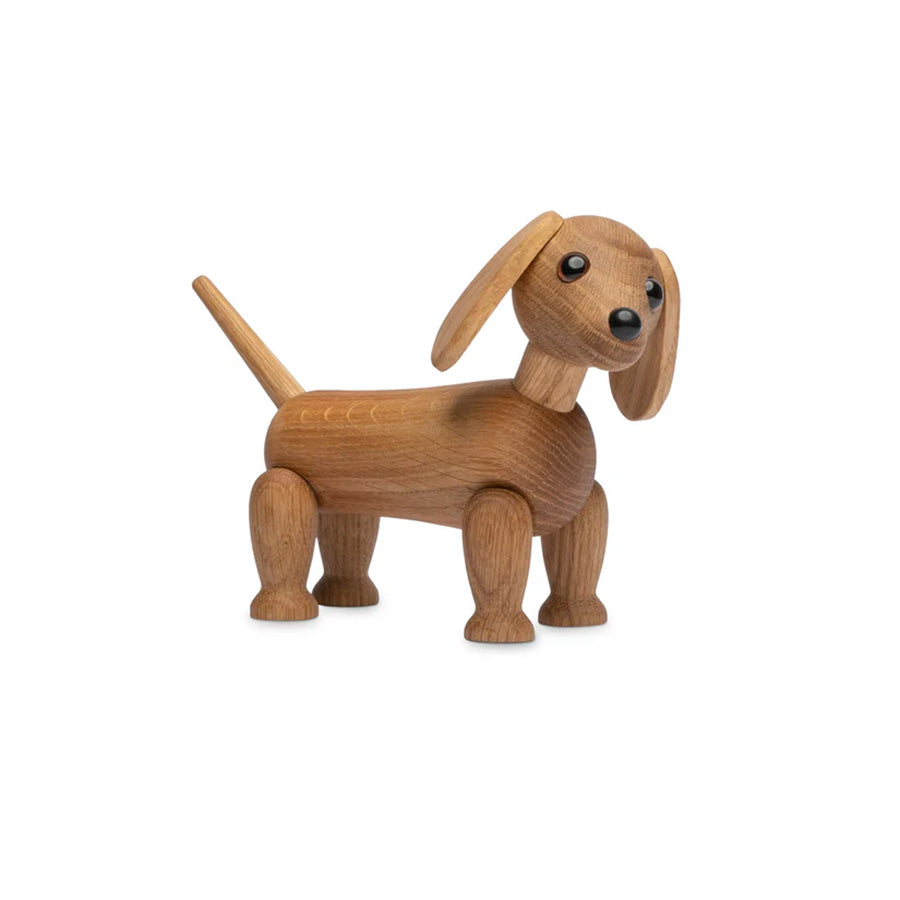 Trefigur Snap Dachshund
