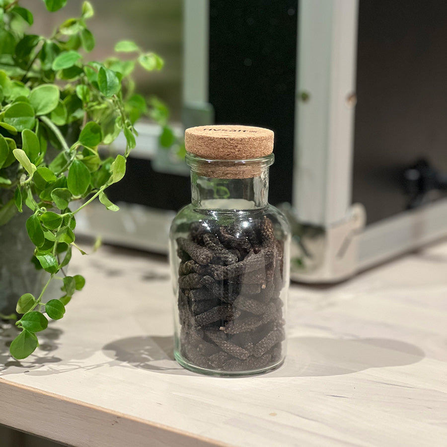 Glassflaske med kork fylt med langpepper fra Adelante, plassert på et kjøkkenbord med grønn plante i bakgrunnen.