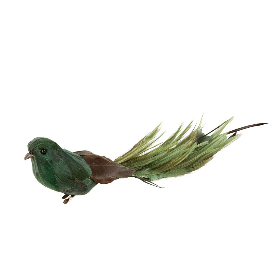 Grønn fjærfugl med klype fra Børscompagniet. Julepynt, 29 cm lang, ideell for juletre og dekorasjoner. Elegant design med naturtro detaljer.