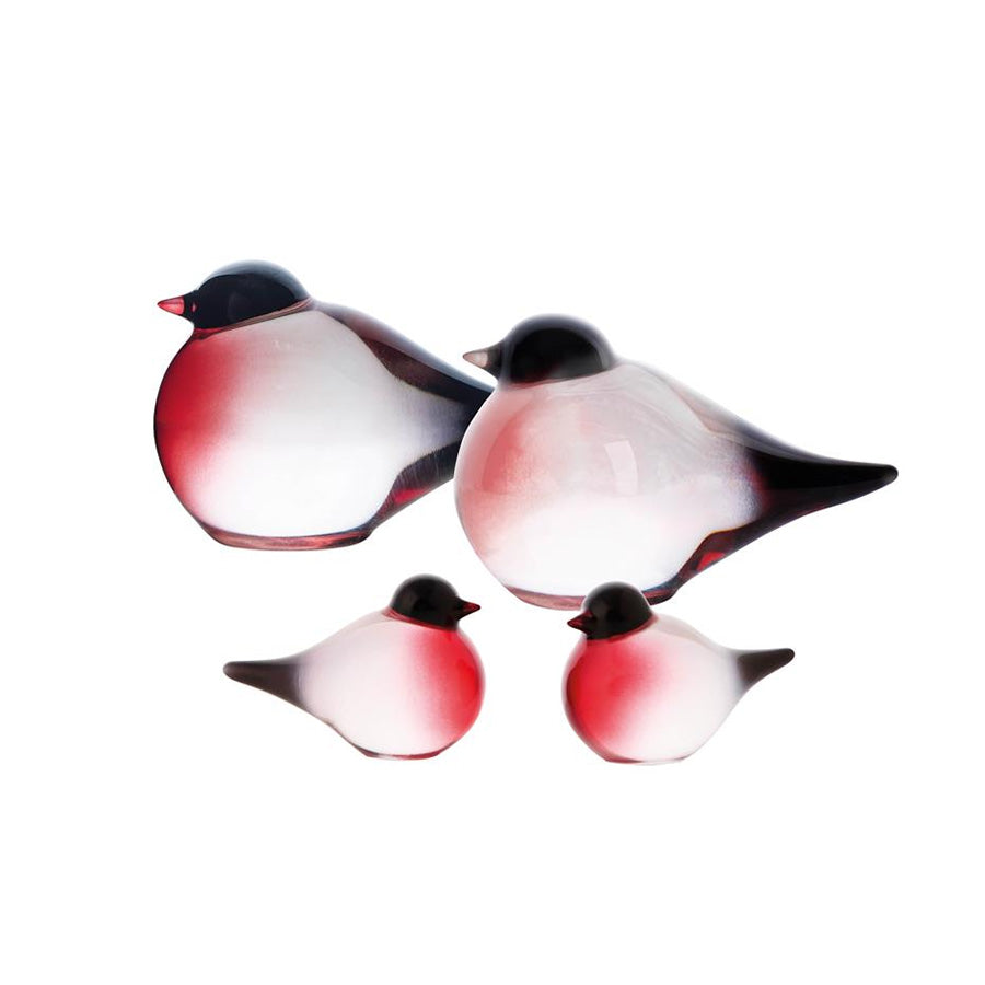 Black Week Dompap Pakke