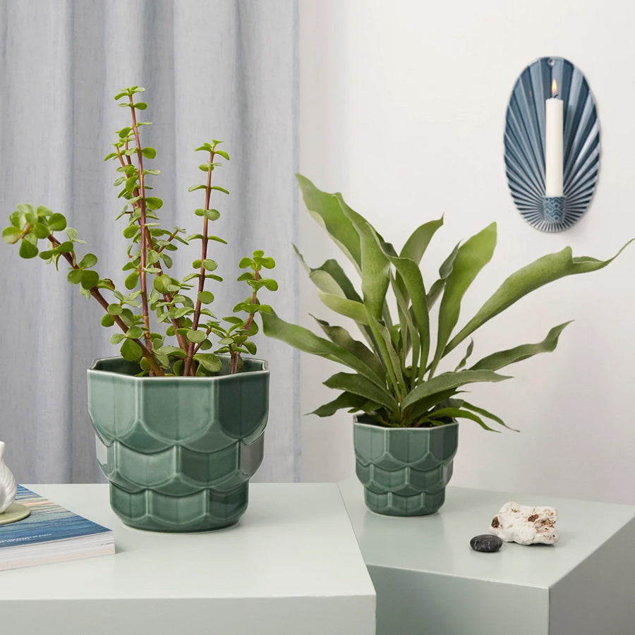 To blomsterpotter i grangrønn fra Samsurium-serien, plassert på et bord med planter i hver potte, som gir liv til interiøret.