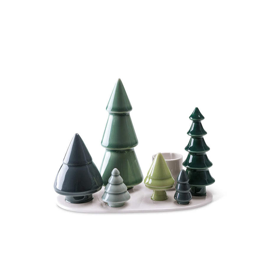 WINTER STORIES FOREST