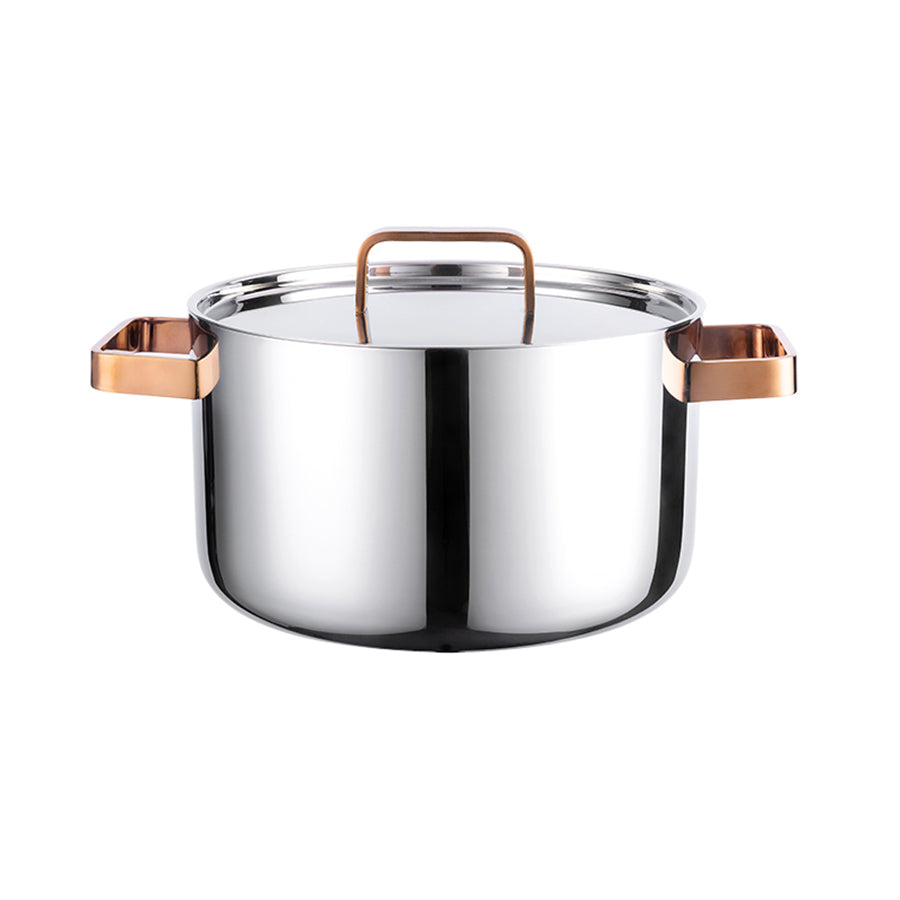 Løve Boen Gryte 3-Ply 6L 24cm Med Rosegull Håndtak