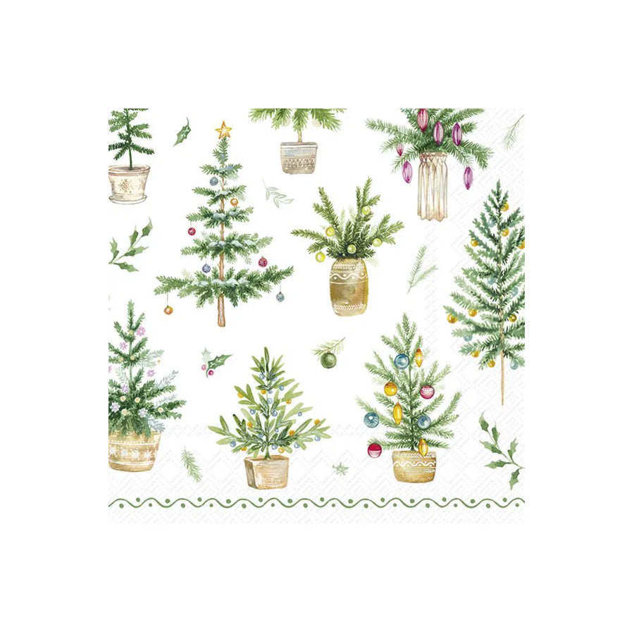 FESTIVE HOLIDAYS GREEN KAFFE