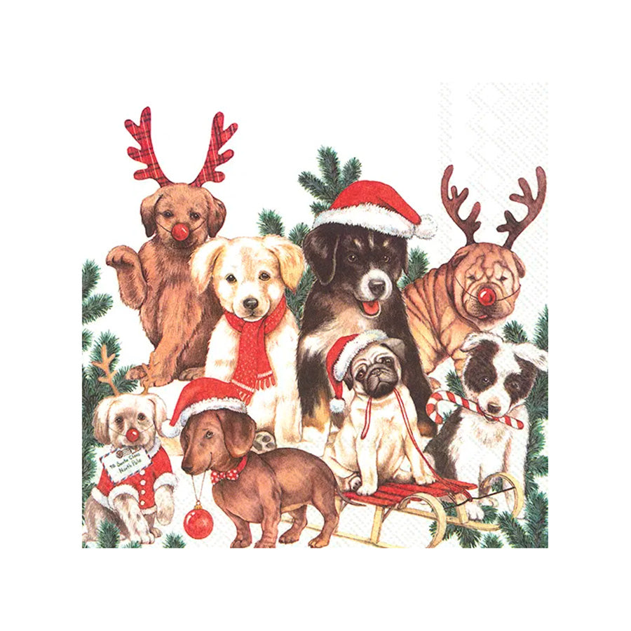 Vinding Servietter Dog-Mas 33x33cm 12pk
