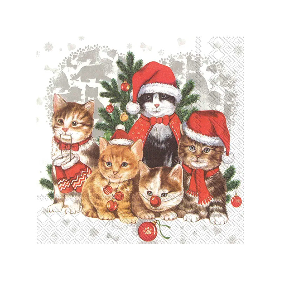 Vinding Servietter Cat-Mas 33x33cm 12pk
